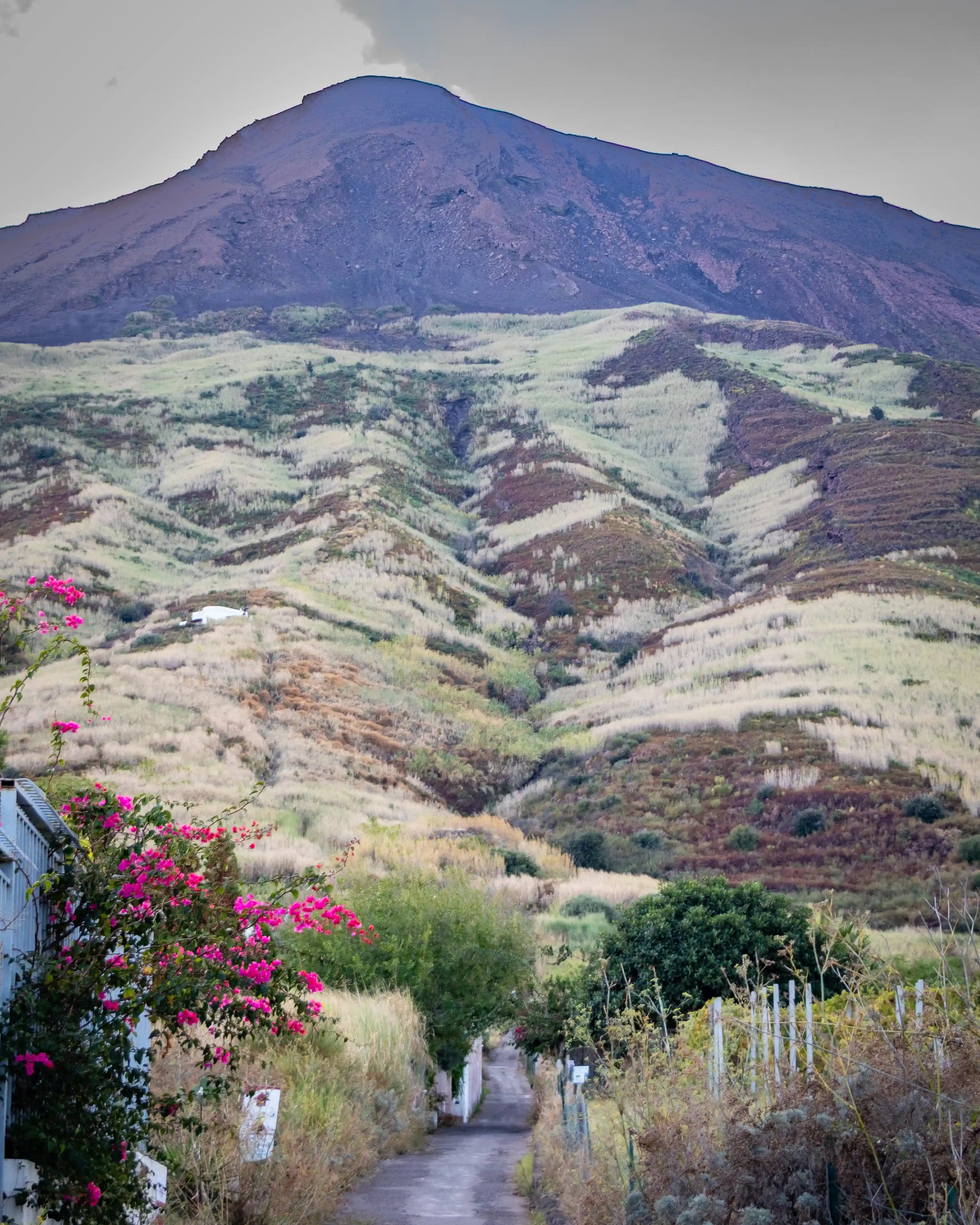 A narrow path leading through vegetation toward a large volcanic mountain with layered slopes.
