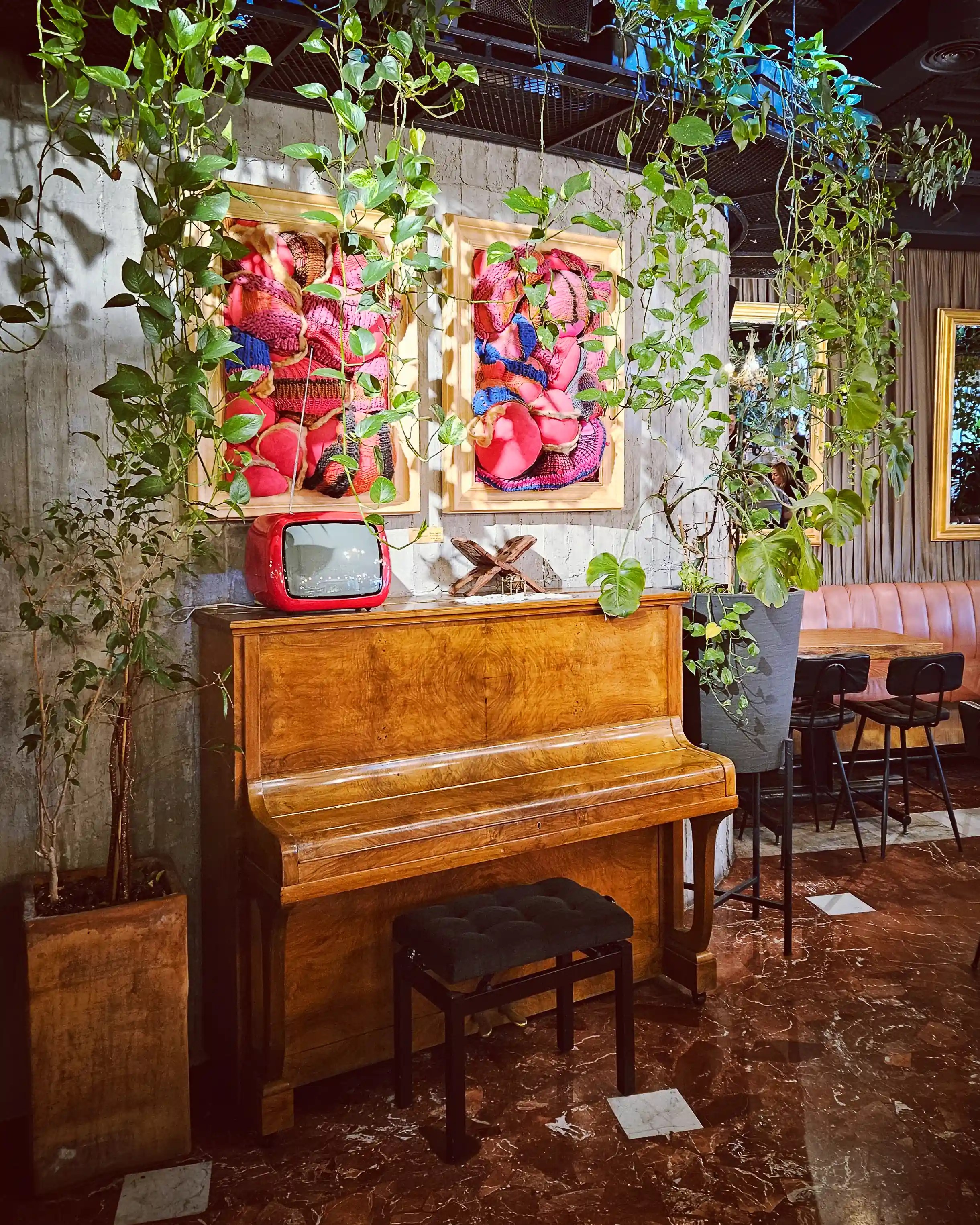 An upright piano surrounded by hanging plants and colorful artwork inside Café Botanica in Tirana.