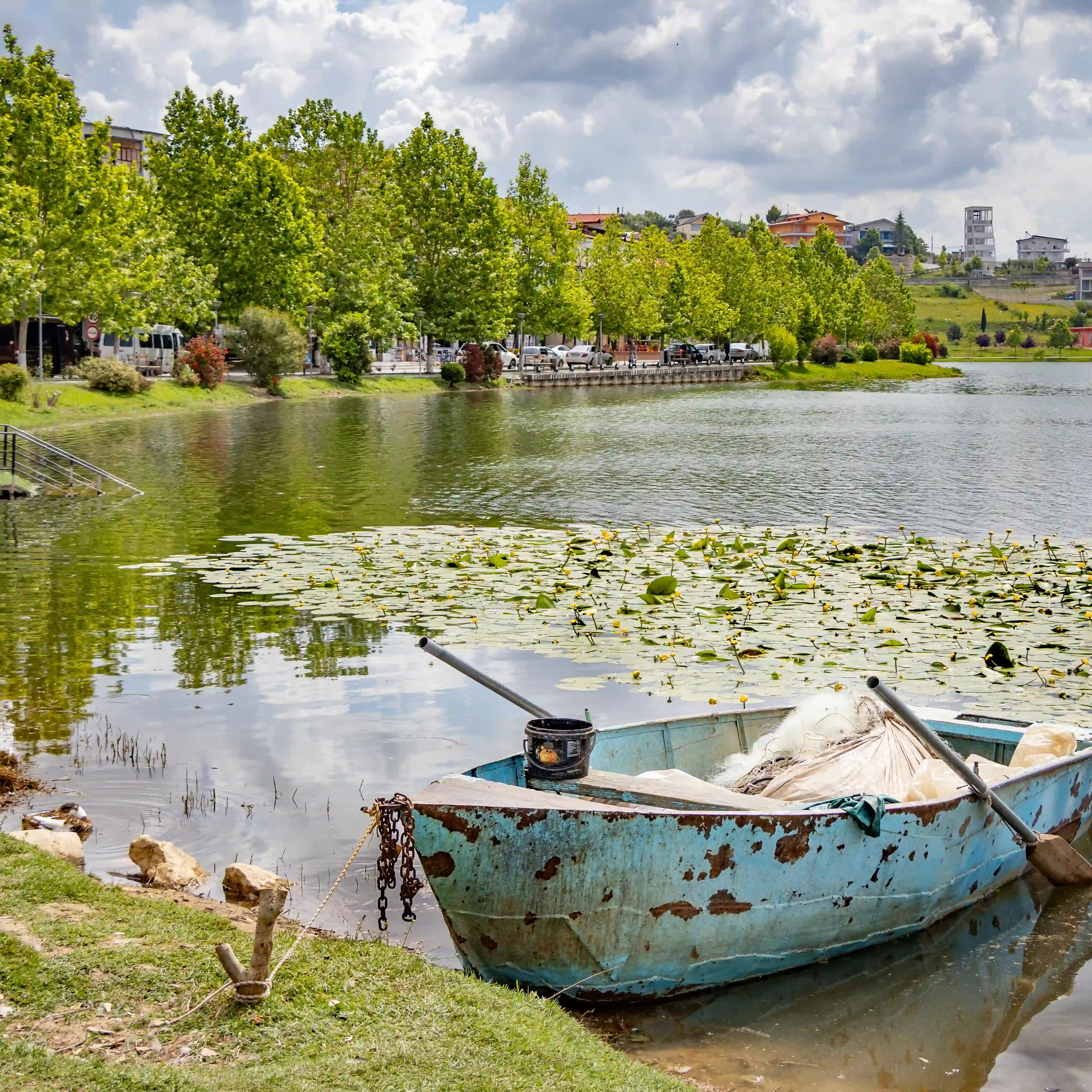 A weathered blue rowboat rests beside the shore of Belshi Lake near a patch of water lilies.